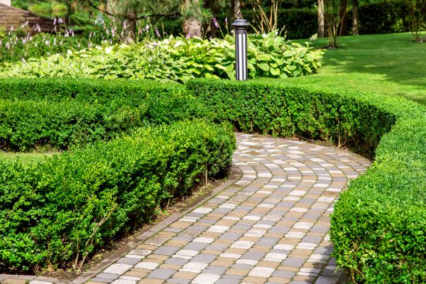 Paved Landscaping in Charlotte