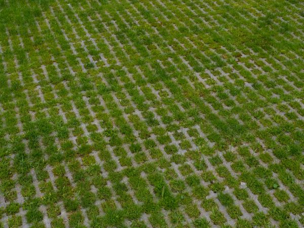 Permeable Pavement Service in Charlotte